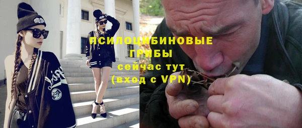 apvp Гусь-Хрустальный