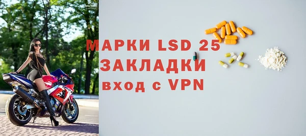 таблы Гусев