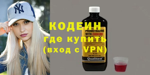 таблы Гусев