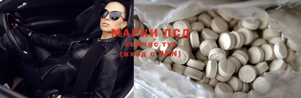 таблы Гусев