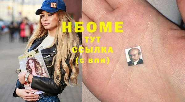 таблы Гусев