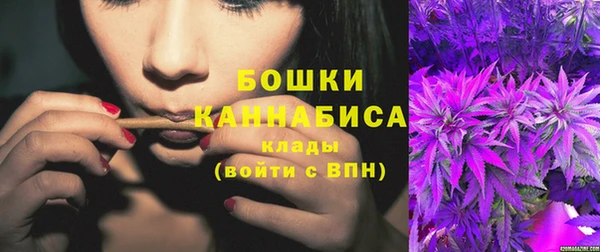 таблы Гусев
