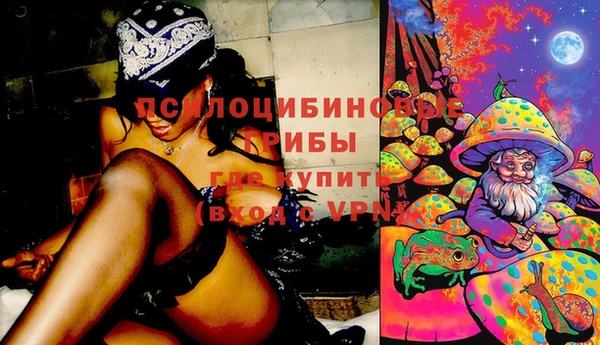 бутират Гусиноозёрск