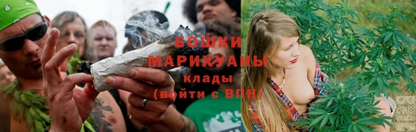 таблы Гусев