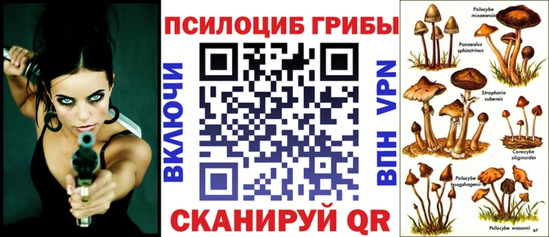 Купить закладки  Клин  Псилоцибиновые грибы MAGIC MUSHROOMS 